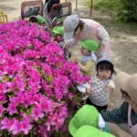 ツツジが満開✨️