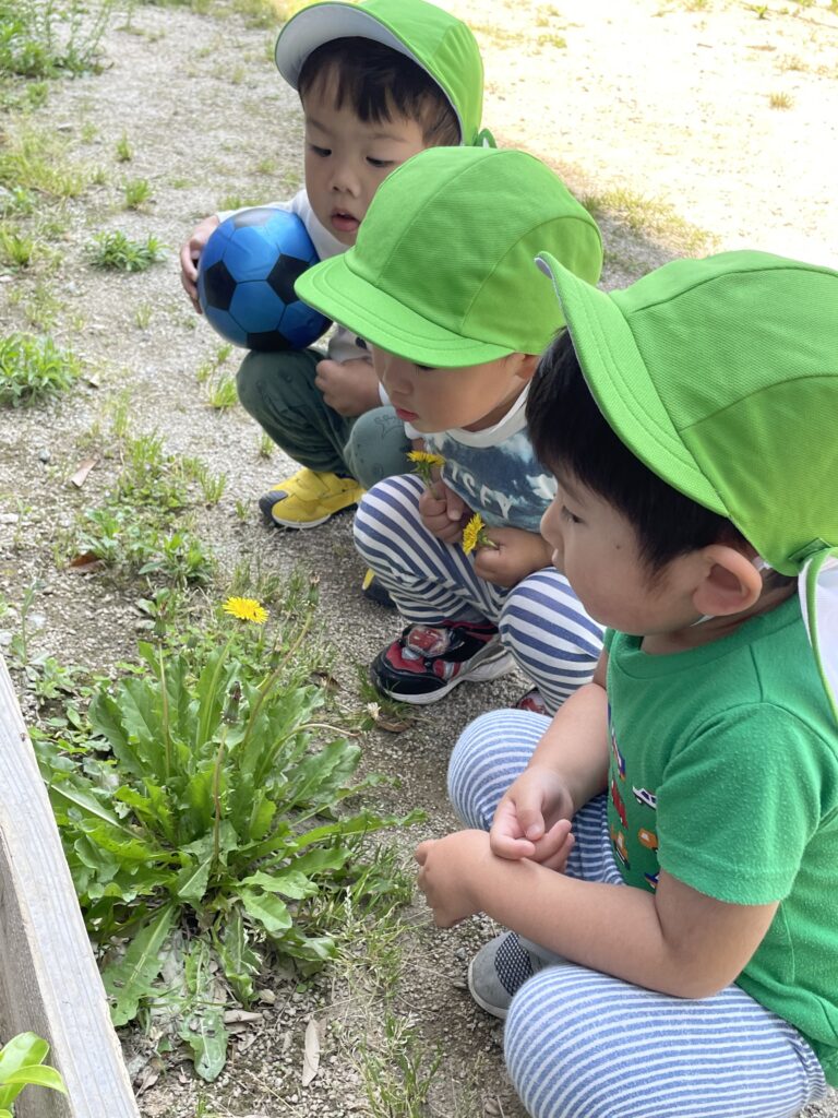 ライオン公園にいきました🦁