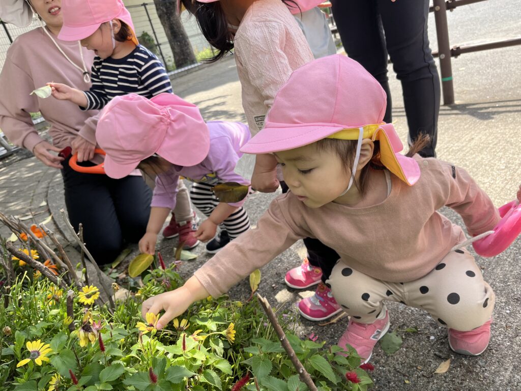 お花を見に行こう