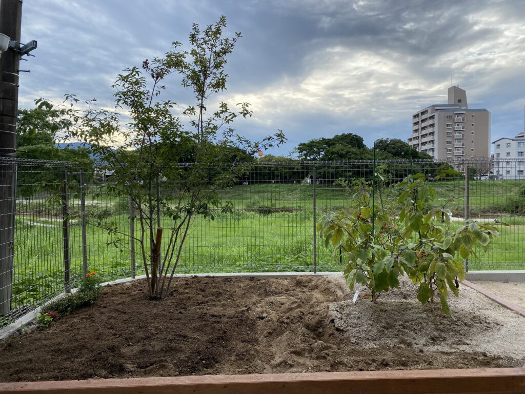 何を植えよう・・・0515