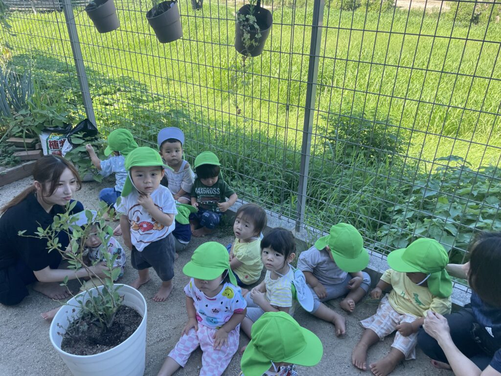 ピーマン肉詰め1003